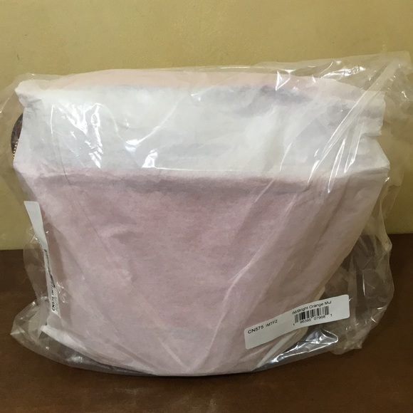 NEW 2023 Style CN575 Coach Trick Or Treat Bucket Halloween Pumpkin - Picture 4 of 11